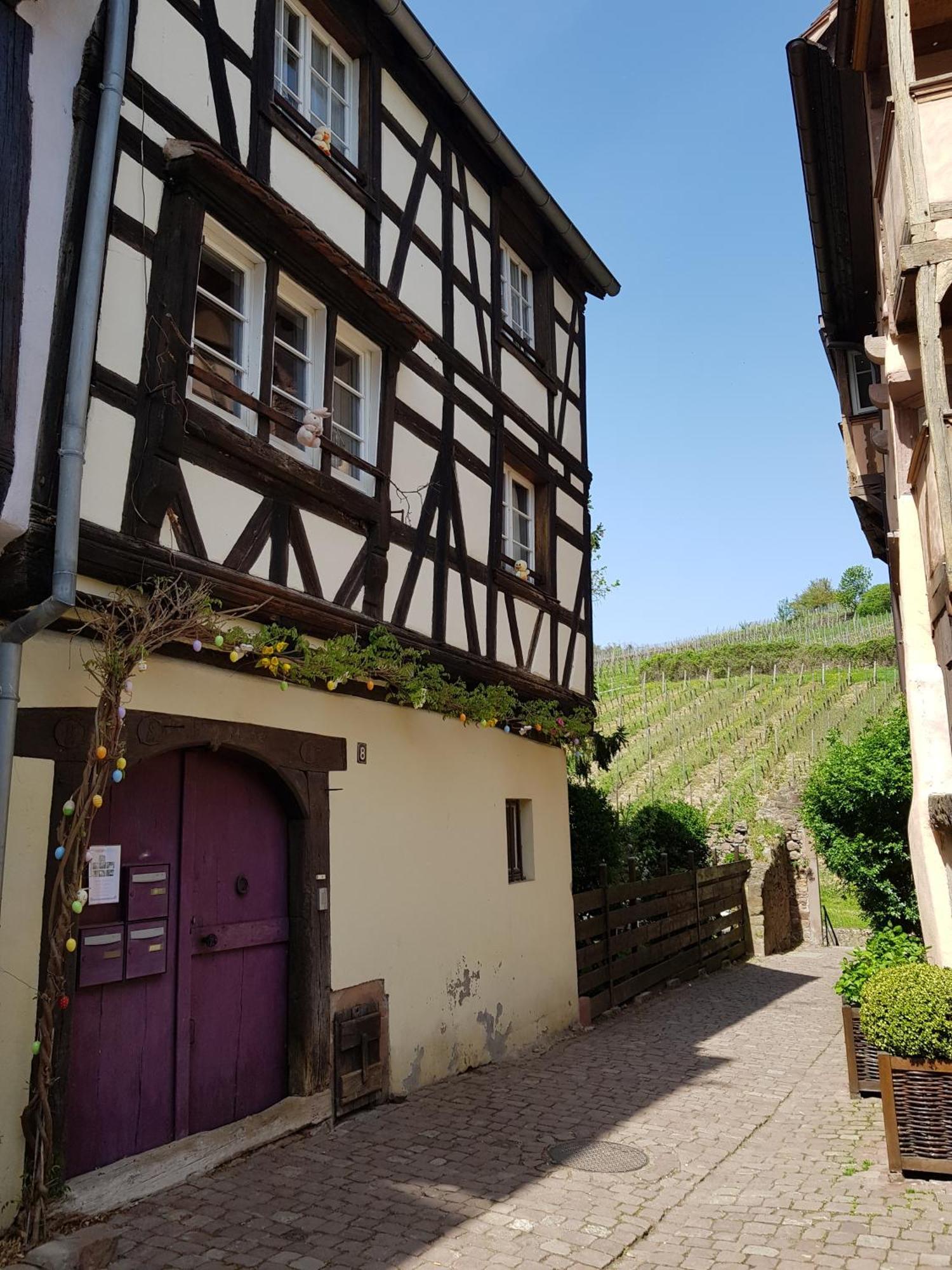 La Maison Vigneronne Riquewihr Luaran gambar